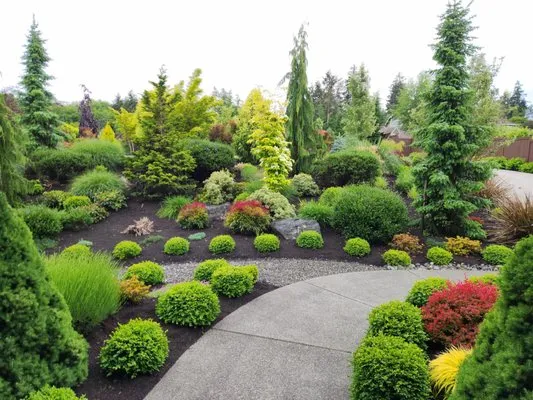 Peacock Landscape & Irrigation Logo