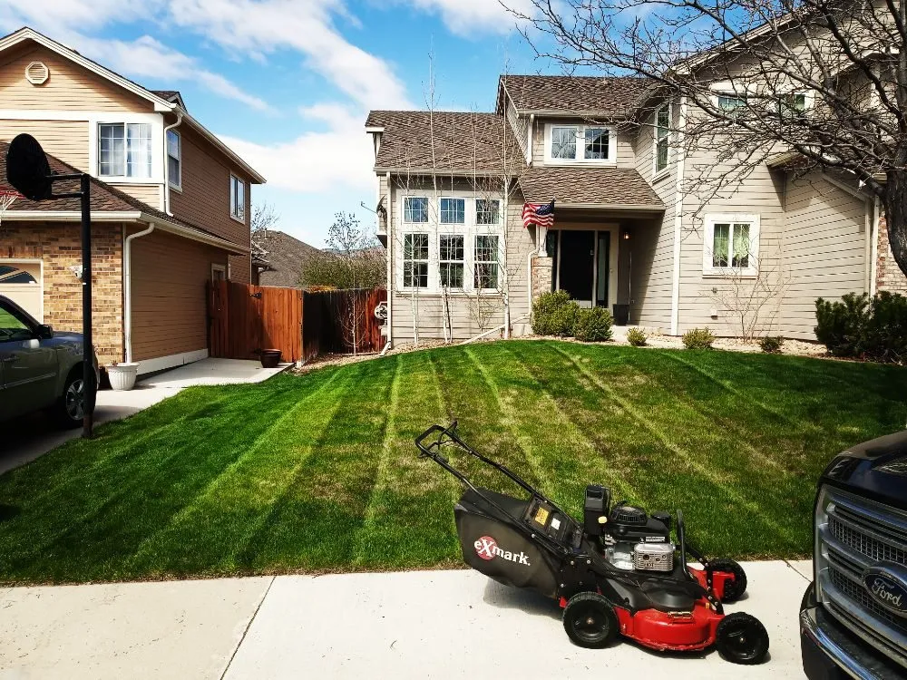 Affordable residential landscaping in Denver, CO by Peacock Landscaping
