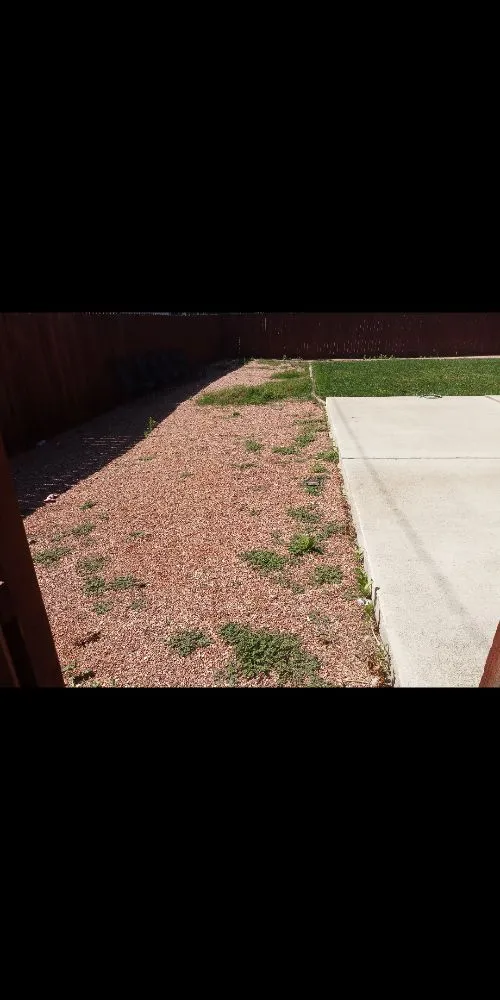 Reliable landscaping services for residential properties in Denver, CO by Peacock Landscaping