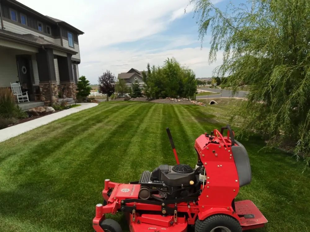 Expert yard cleanup service near you across Denver, CO - Peacock Landscaping