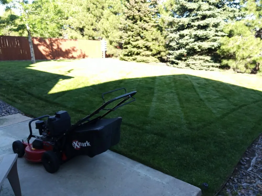 Top-rated landscape design in Denver, CO - Peacock Landscaping