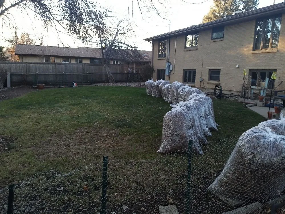 Local yard maintenance with custom design across Denver, CO - Peacock Landscaping