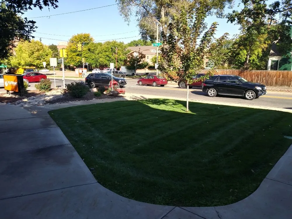 Local landscape installation experts serving Denver, CO - Peacock Landscaping
