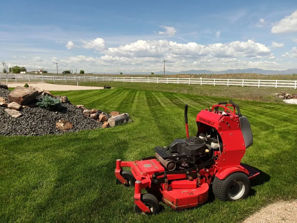 Affordable lawn care service in Denver, CO by Peacock Landscaping