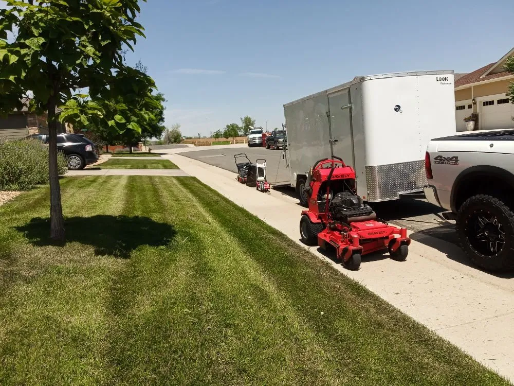 Top-rated yard cleanup service in Denver, CO - Peacock Landscaping