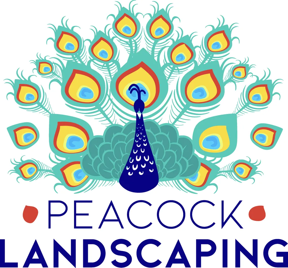 Expert residential landscaping experts serving Miami, FL - Peacock Landscaping