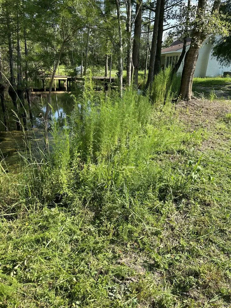 Professional garden landscaping near you in Cottondale, FL by Peacock’s Lawn & Maintenance