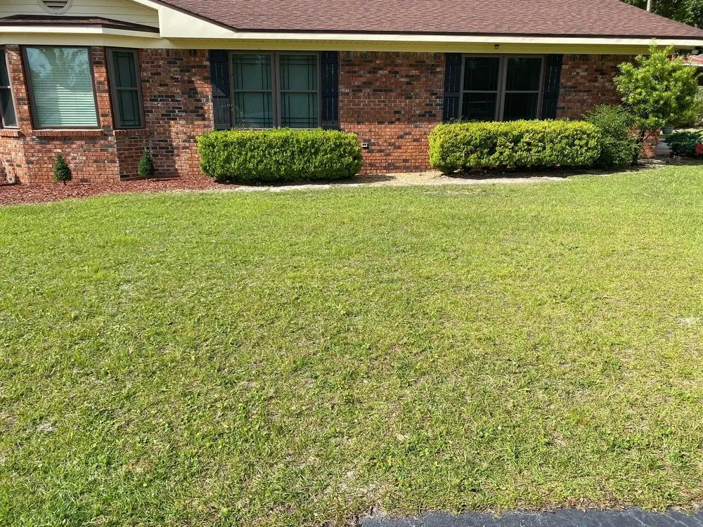 Professional lawn care service in Cottondale, FL - Peacock’s Lawn & Maintenance