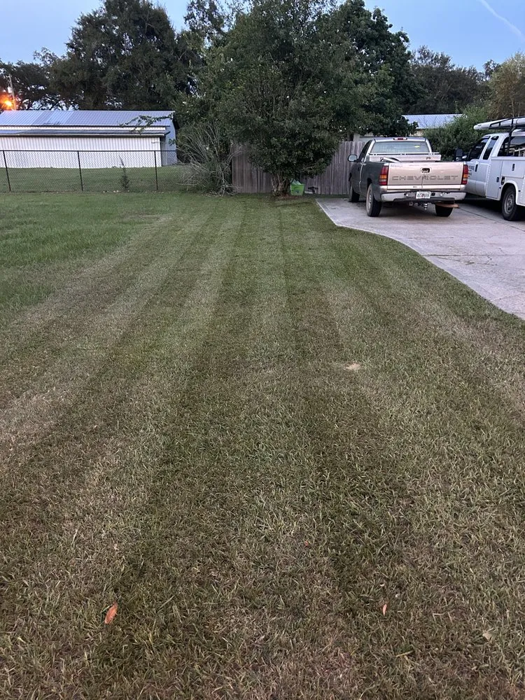 Local yard maintenance for beautiful yards in Cottondale, FL by Peacock’s Lawn & Maintenance