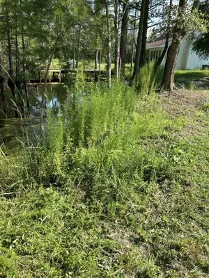 Peacock’s Lawn & Maintenance