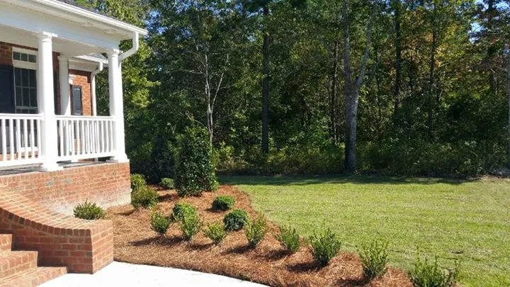 Professional yard maintenance for beautiful yards in Greenville, NC by Peaden & Son Landscaping