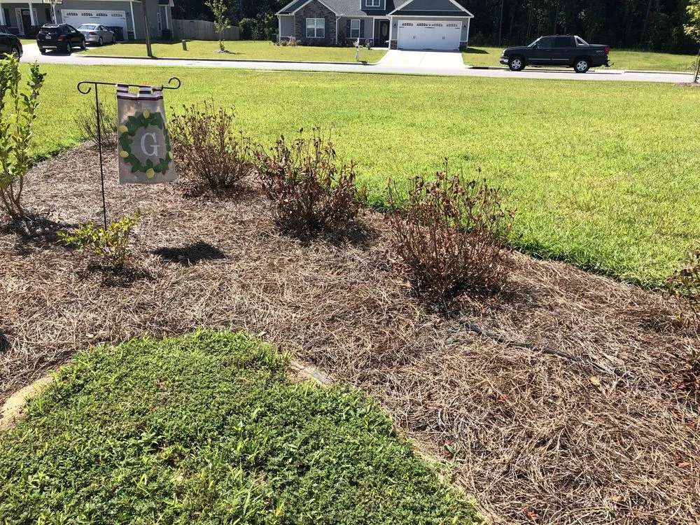 Expert residential landscaping experts serving Greenville, NC - Peaden & Son Landscaping