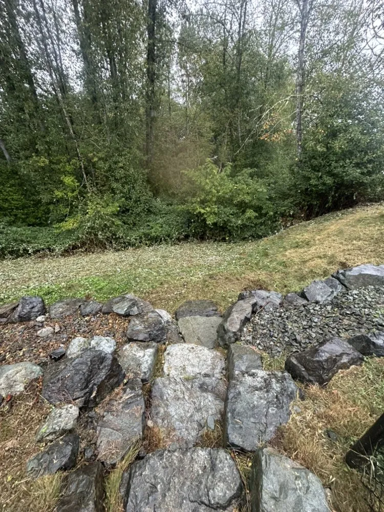 Expert lawn mowing service near you across Marysville, WA - Peak & Pine Exteriors