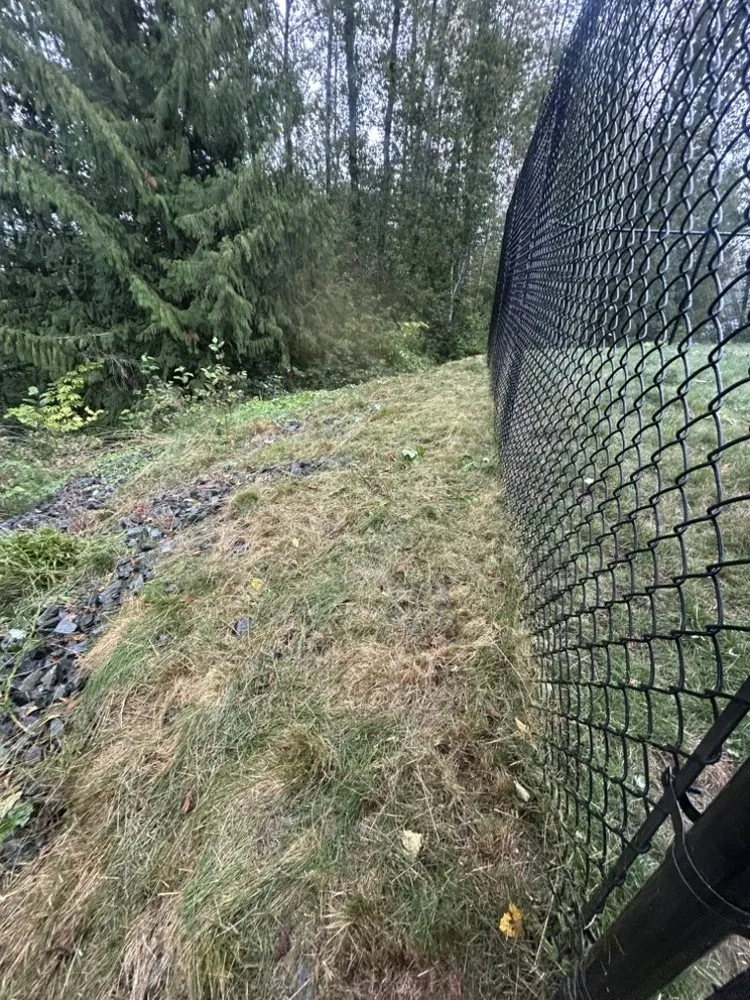 Trusted yard maintenance in Marysville, WA - Peak & Pine Exteriors