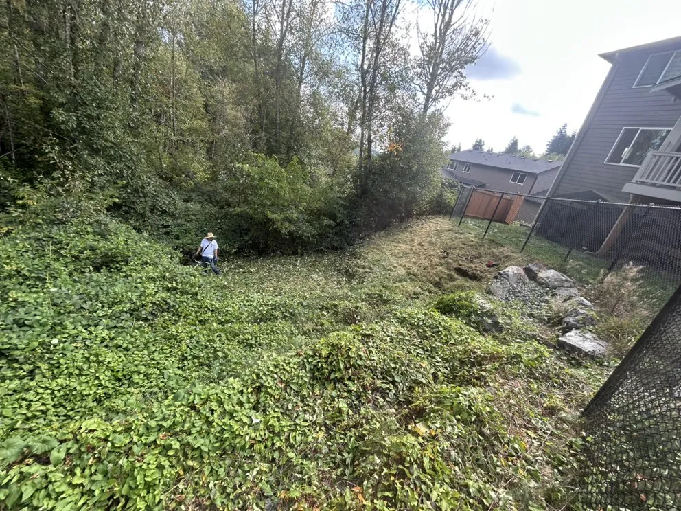 Professional landscaping services for outdoor upgrades in Marysville, WA by Peak & Pine Exteriors