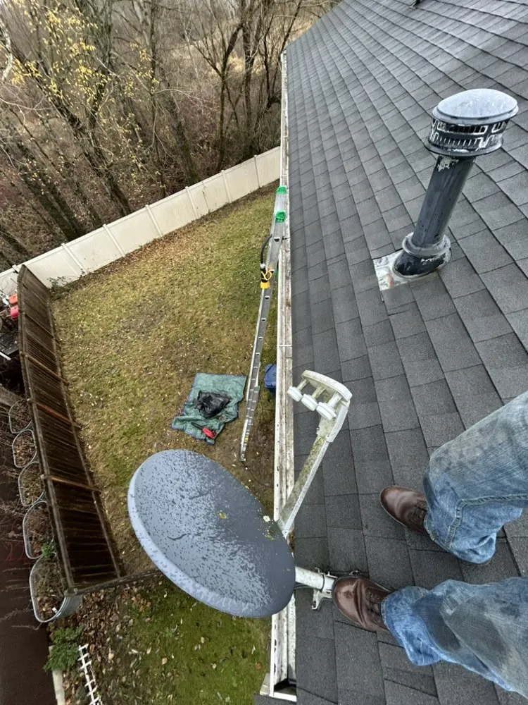 Expert yard cleanup service in Marysville, WA by Peak & Pine Exteriors