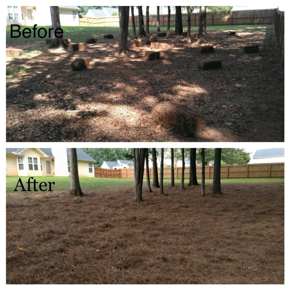 Expert lawn care service for outdoor upgrades in Braselton, GA by Peak Home and Lawn Solutions