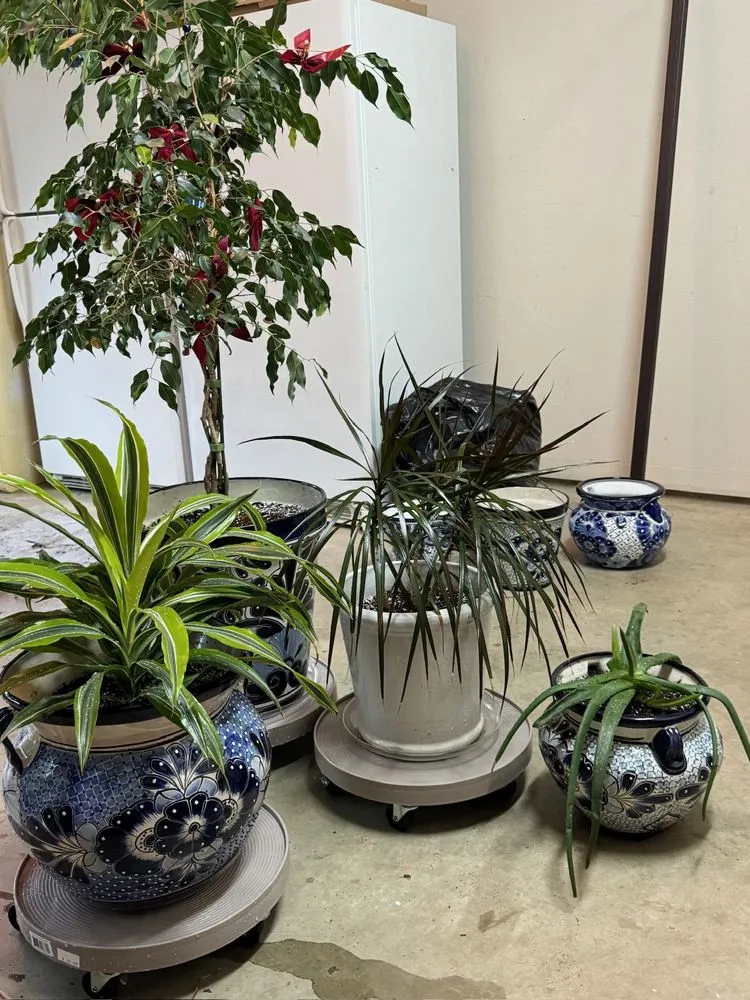 Top-rated landscape design experts serving Denton, TX - Peak Home Services