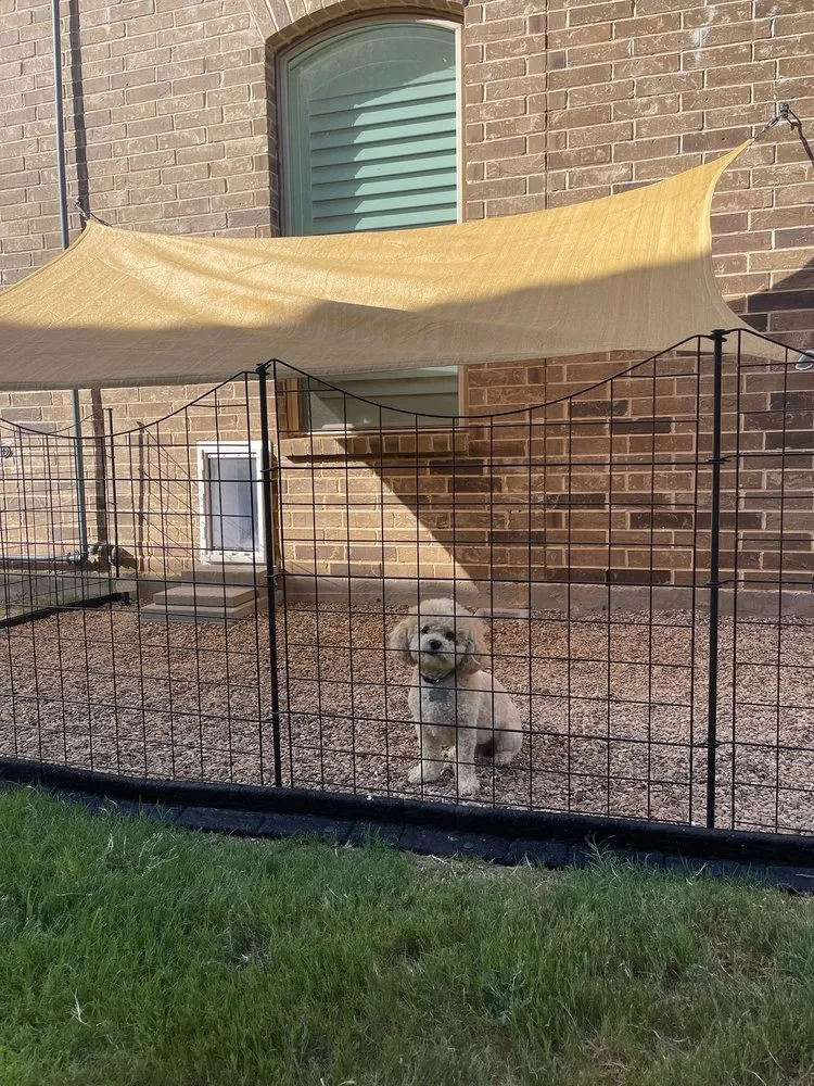 Custom yard cleanup service for homes in Denton, TX by Peak Home Services