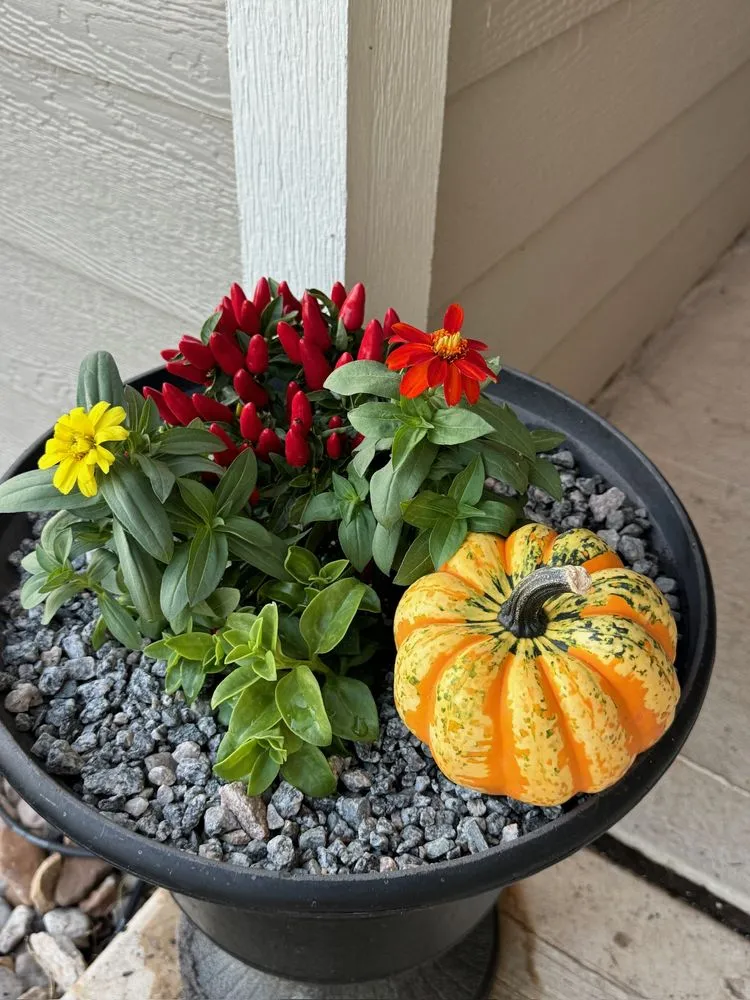 Affordable landscaping services near you in Denton, TX by Peak Home Services