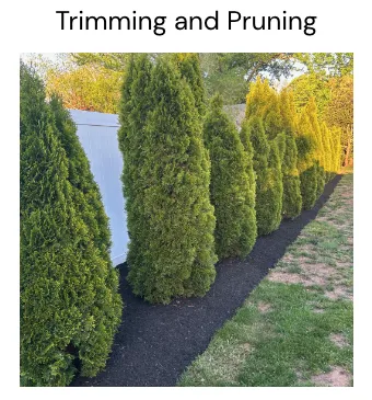 Local landscape installation in Southampton, MA - Peak Landscape and Design