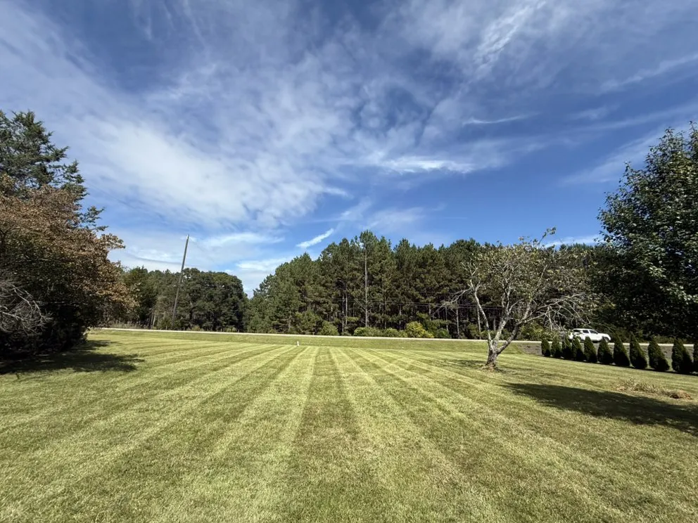 Affordable yard cleanup service experts serving Griffin, GA - Peak Landscape Company