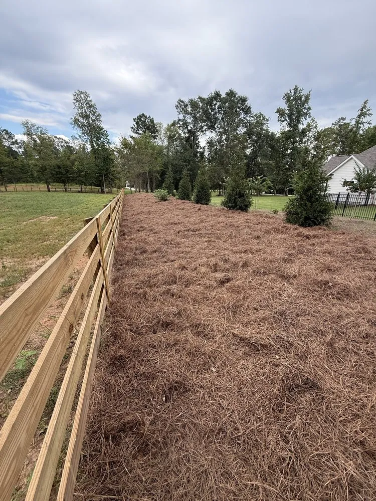 Expert garden landscaping for year-round maintenance across Griffin, GA - Peak Landscape Company