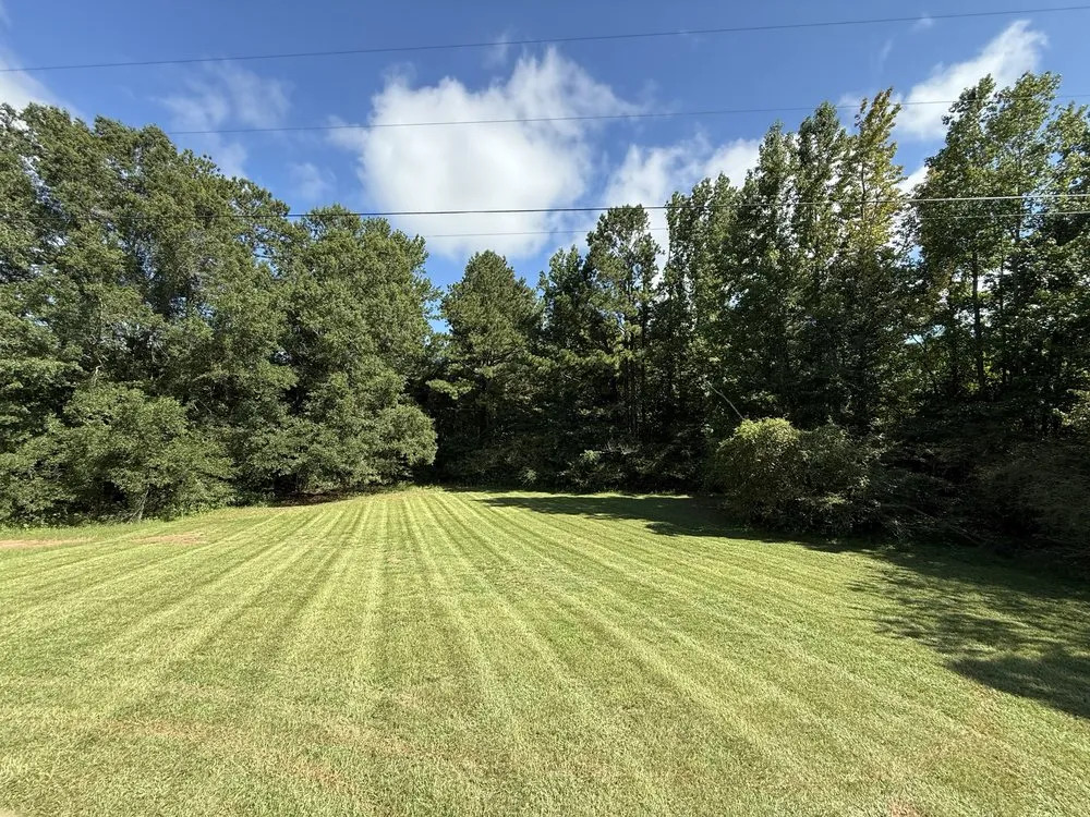 Custom yard maintenance for outdoor upgrades in Griffin, GA by Peak Landscape Company