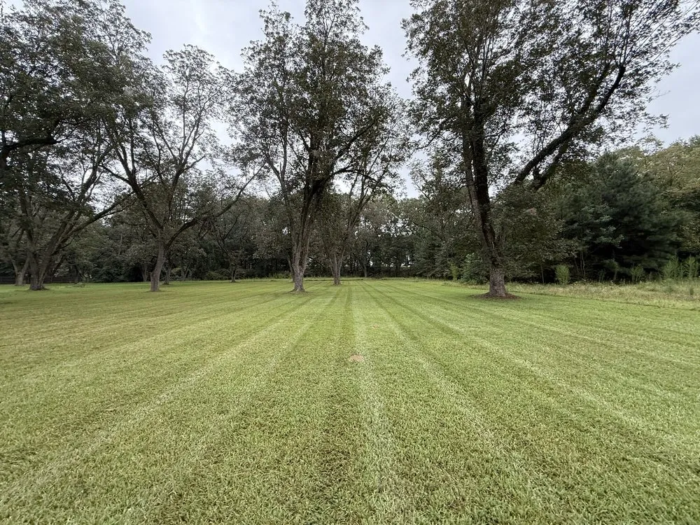 Top-rated garden landscaping in Griffin, GA - Peak Landscape Company