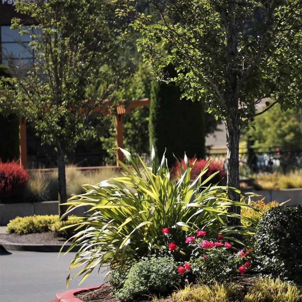 Affordable landscape design in Hillsboro, OR - Peak Landscape
