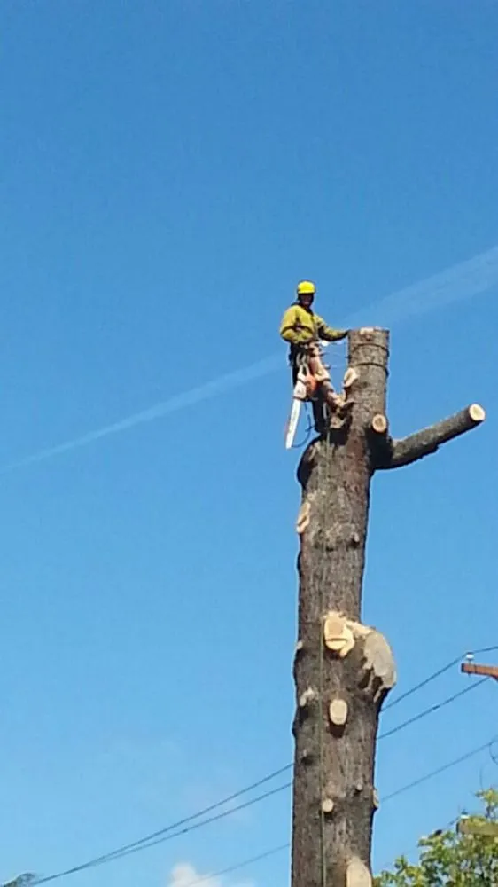 Expert lawn care service for outdoor upgrades across Hillsboro, OR - Peak Landscape