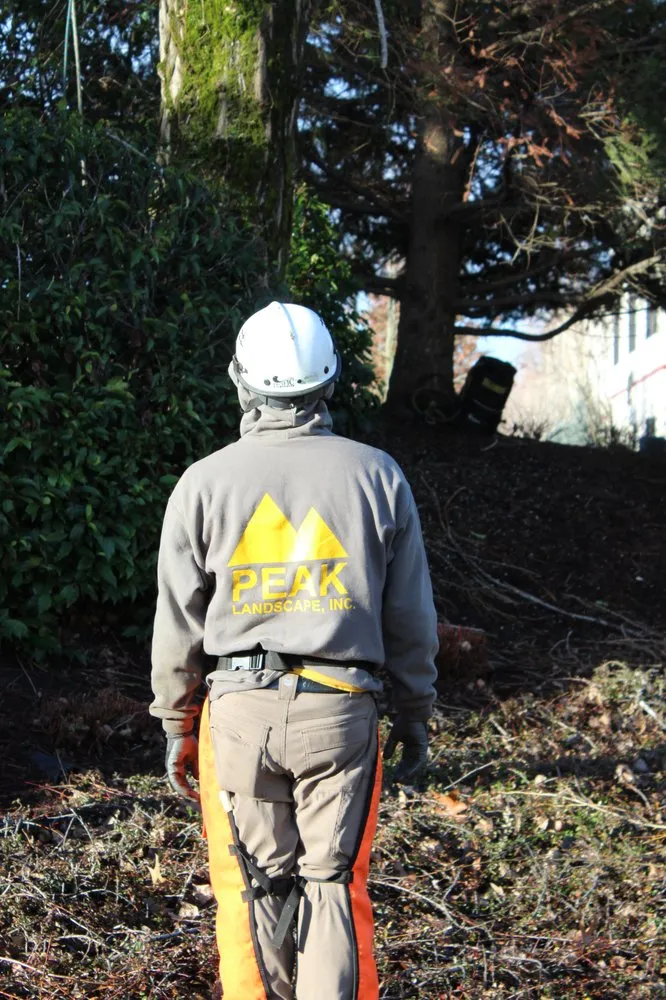 Expert residential landscaping in Hillsboro, OR - Peak Landscape