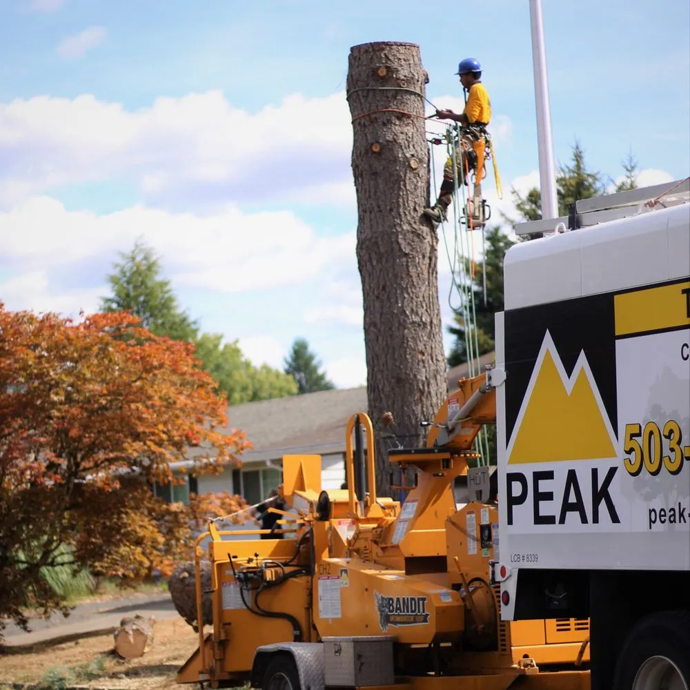 Expert lawn mowing service for outdoor upgrades across Hillsboro, OR - Peak Landscape