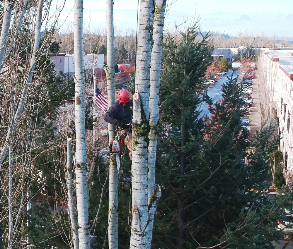 Custom landscaping services in Hillsboro, OR - Peak Landscape