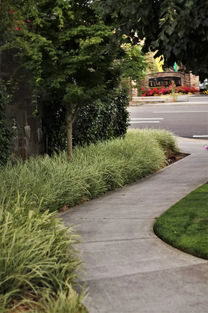 Top-rated outdoor landscaping experts serving Hillsboro, OR - Peak Landscape