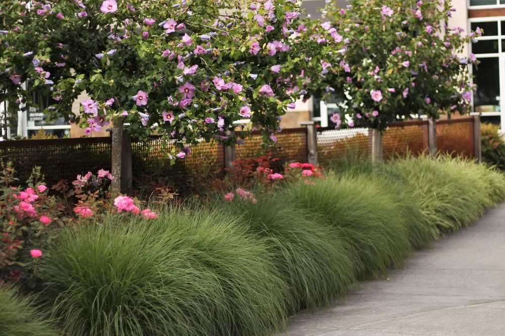 Reliable garden landscaping experts serving Hillsboro, OR - Peak Landscape