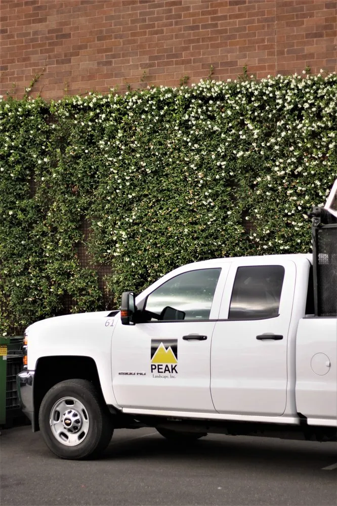 Custom landscape design for year-round maintenance across Hillsboro, OR - Peak Landscape