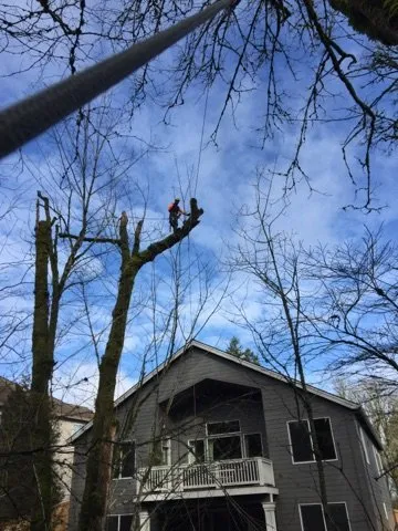 Professional outdoor landscaping for residential properties in Hillsboro, OR by Peak Landscape