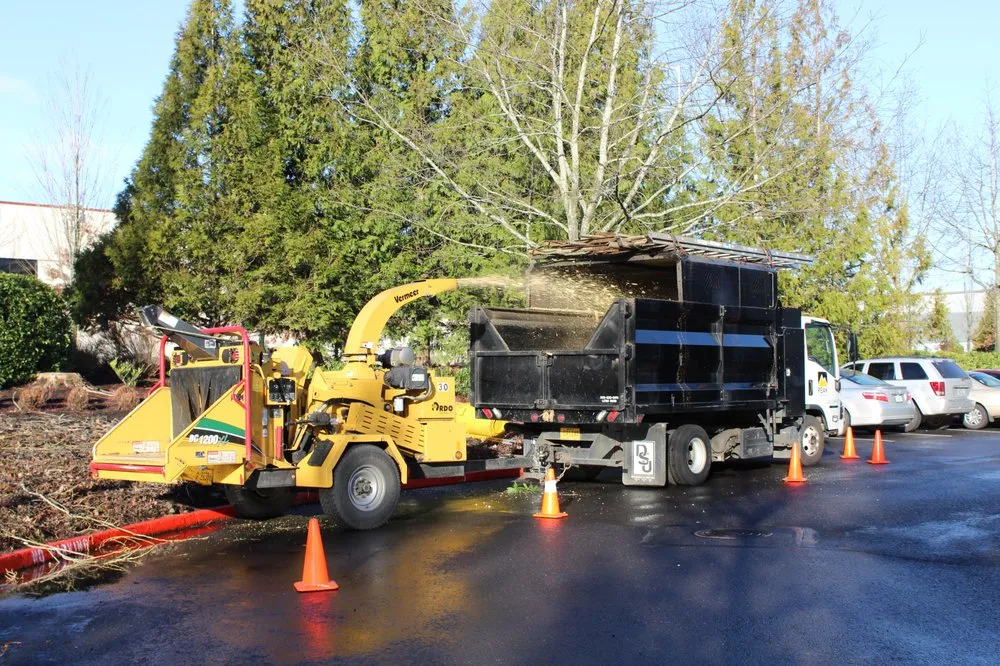 Professional landscaping services experts serving Hillsboro, OR - Peak Landscape