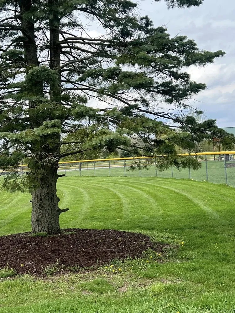 Professional landscaping services for outdoor upgrades in Spring Arbor, MI by Peak Landscape