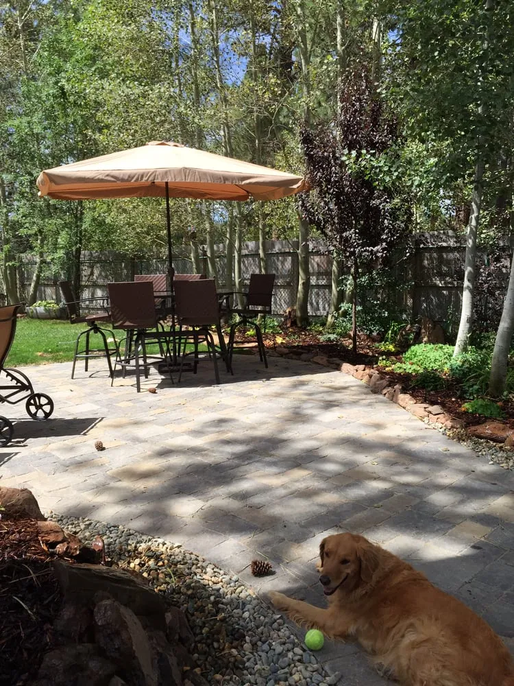 Expert lawn care service in Truckee, CA - Peak Landscape