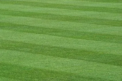 Professional landscape installation in Palm Beach Gardens, FL by Peak Lawn Maintenance and Landscaping