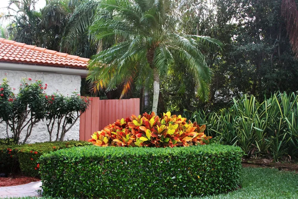 Affordable lawn care service experts serving Palm Beach Gardens, FL - Peak Lawn Maintenance and Landscaping