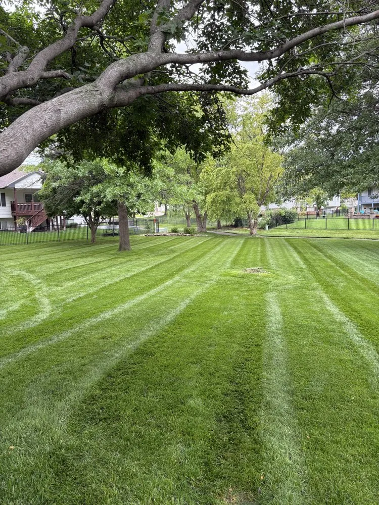 Top-rated outdoor landscaping for homes in Clearwater, KS by Peak Performance