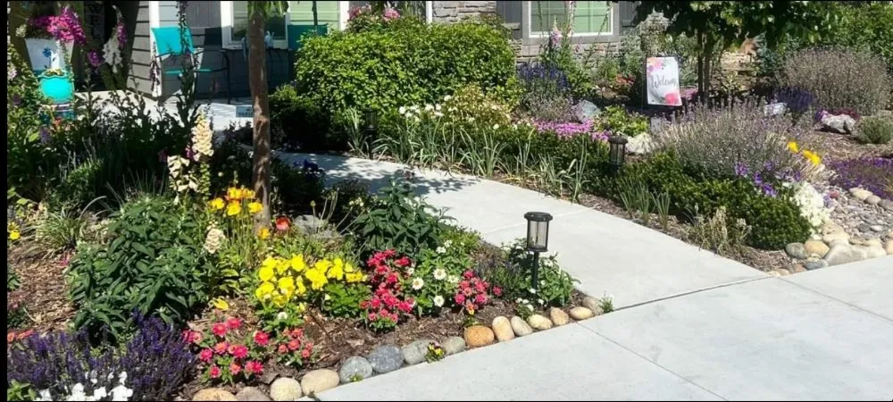 Affordable landscaping services for residential properties in Eagle, CO by Peak Services