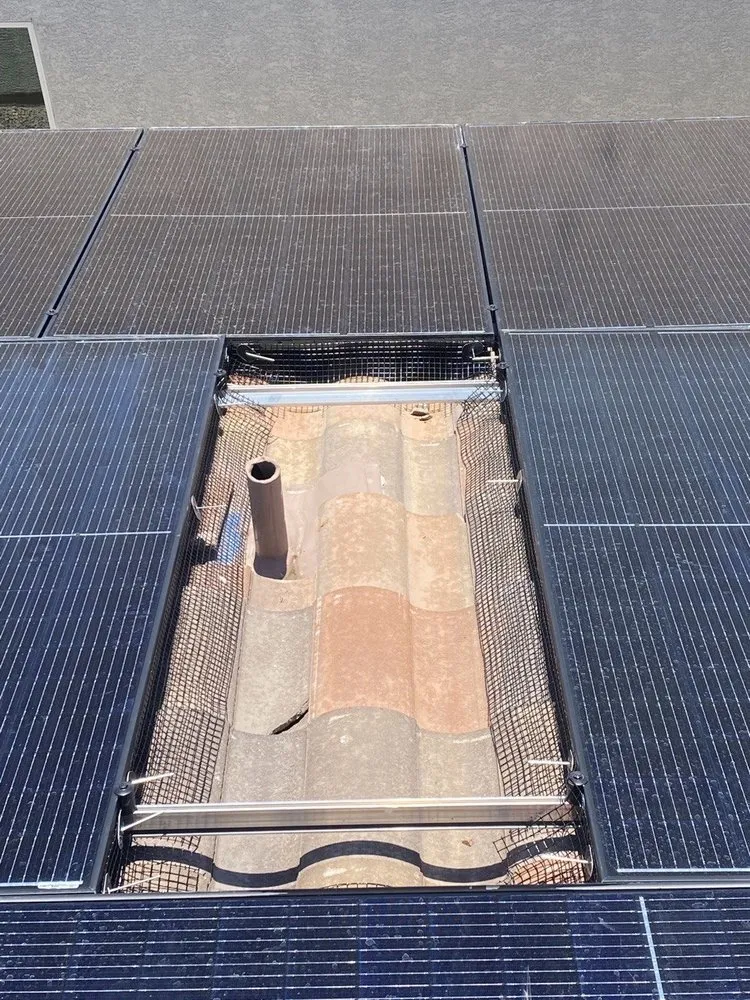 Affordable yard cleanup service for beautiful yards in Las Vegas, NV by Peak Services