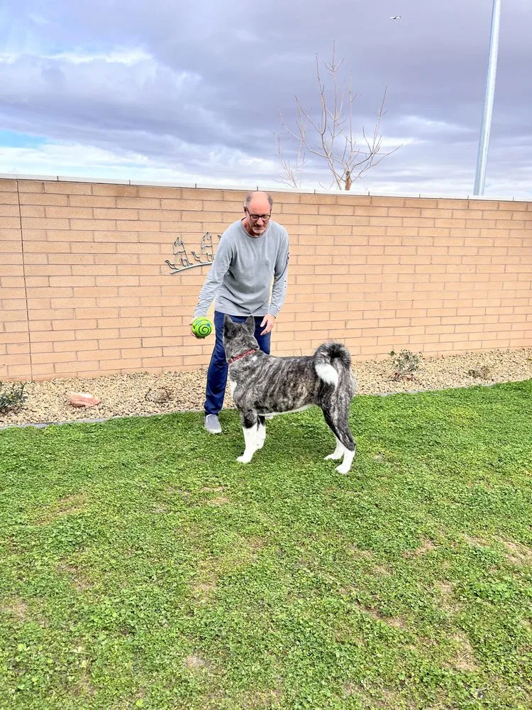 Trusted residential landscaping experts serving Las Vegas, NV - Peak Services