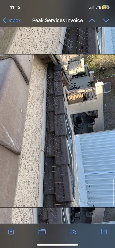 Trusted yard cleanup service experts serving Las Vegas, NV - Peak Services