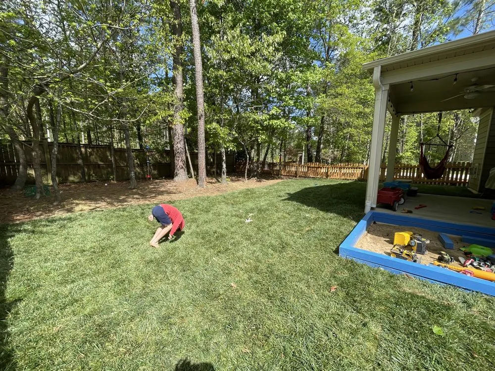 Professional landscaping services for outdoor upgrades in Holly Springs, NC by Peak Sodding