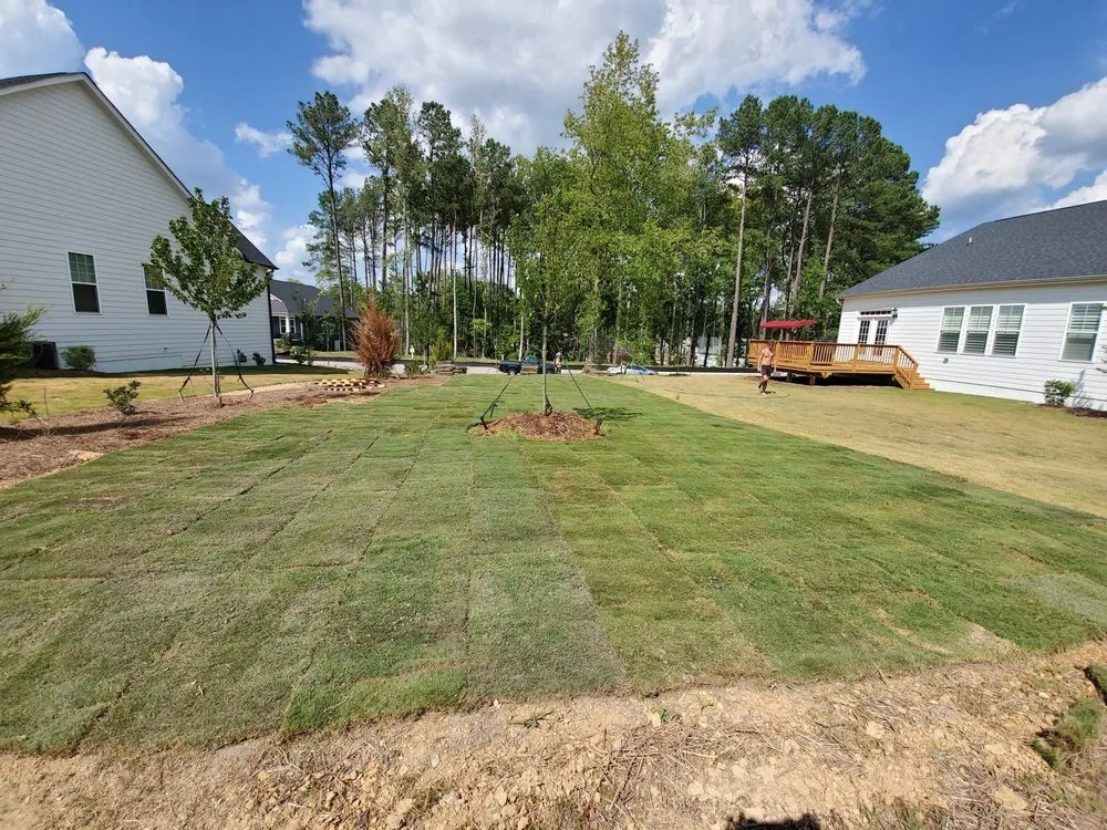 Reliable lawn care service for homes in Holly Springs, NC by Peak Sodding